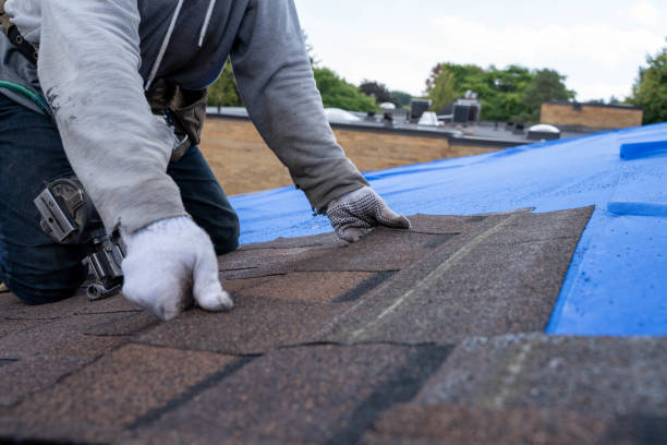 Best Residential Roof Replacement  in Csar Chvez, TX